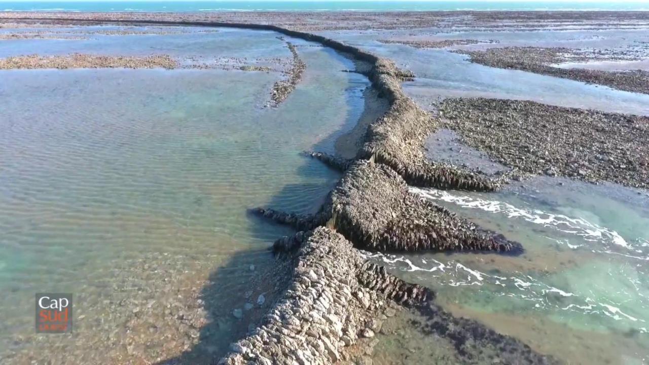 Les Pieds Dans L'Eau Acces Direct A La Plage La Cotiniere Ngoại thất bức ảnh