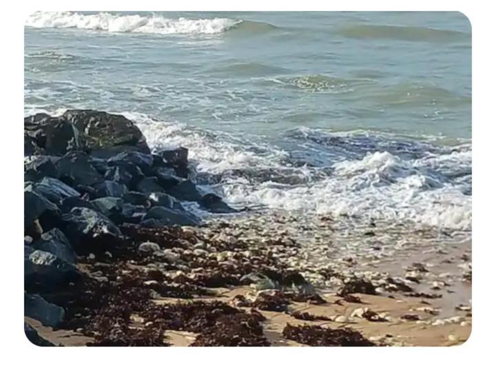 Les Pieds Dans L'Eau Acces Direct A La Plage La Cotiniere Ngoại thất bức ảnh